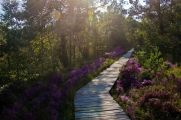 Ein Weg mitten durch die Landschaft, der selbst zum Schmuckstück wird. (© Dorothea Uhlendorf/Azerca)