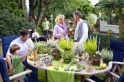 Die Kombination aus weißen Callunen und Eriken sowie grüner Baumheide ergibt eine frisch-fröhliche Deko für die Party im Garten. Schöne Akzente setzen die roten Gaultherien.