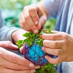 Kinderleicht basteln mit Heide