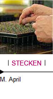 Stecken