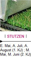 Stutzen